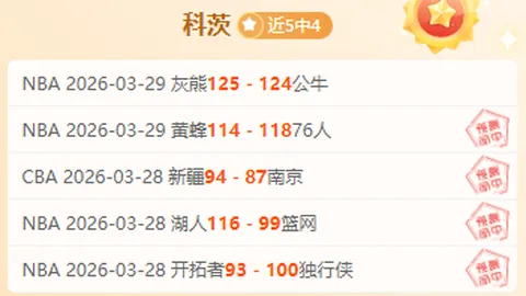 掘金VS森林狼赛况分析：近17胜专家质合推荐